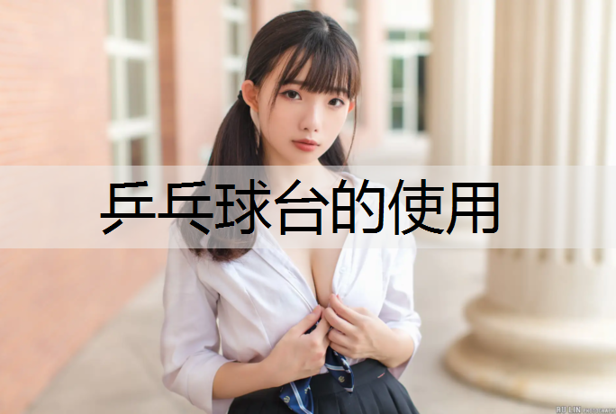 乒乓球台的使用