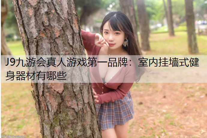 室内挂墙式健身器材有哪些