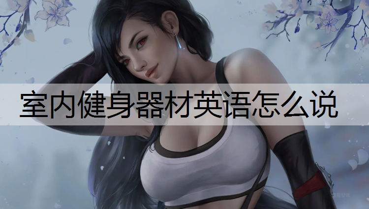 室内健身器材英语怎么说