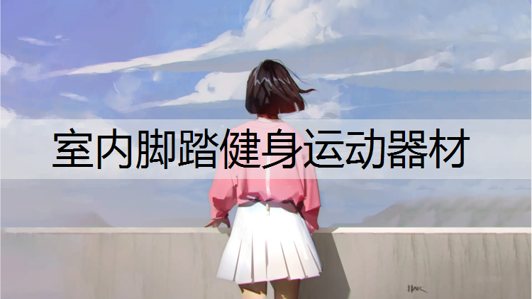 室内脚踏健身运动器材